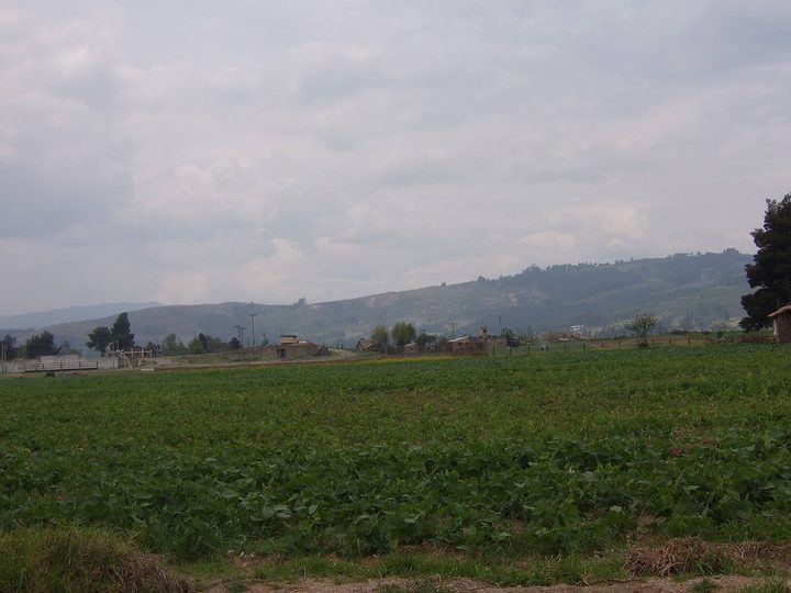 Campo cultivado en Nobsa