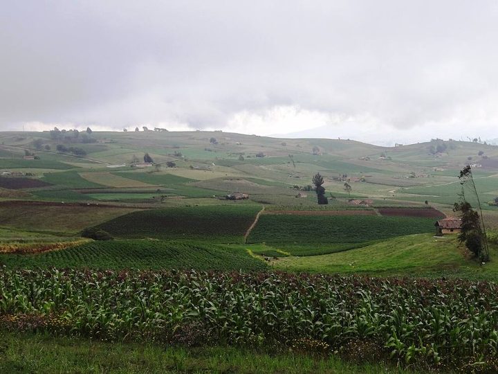Cultivos en las lomas de Siachoque, Boyacá